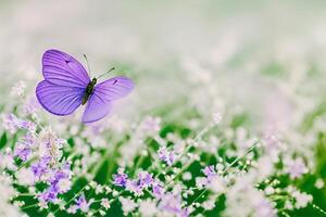 een mooi vlinder in de tuin met ai gegenereerd foto