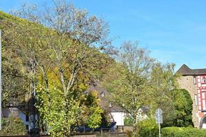 herfst humeur in mosel vallei foto