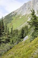 skagway stad- bovenste dewey meer steil berg helling foto