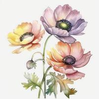 vrij anemonen bloemen water kleur, pastel ,wit achtergrond , genereren ai foto