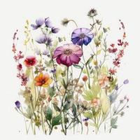 vrij weide bloemen waterverf en pastel kleur Aan wit achtergrond , genereren ai foto