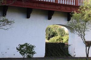 voorjaar planten Bij oud wit muren foto