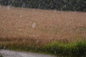 toneel- landelijk landschap foto