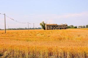 toneel- landelijk landschap foto