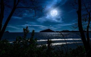maanlicht over- de zee Bij nacht in vol maanlicht. natuurlijk achtergrond. foto