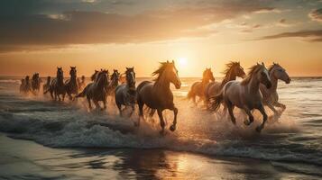 kudde van paarden galopperen in de zee Bij zonsondergang in zomer ai gegenereerd artwork foto