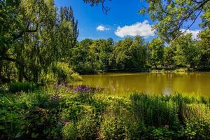 zomer landschap met een vijver saski tuin Warschau Polen groen bomen warm dag foto