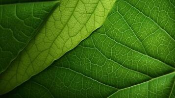 groen blad macro dichtbij omhoog structuur achtergrond hoog kwaliteit groot grootte uitprinten ai gegenereerd foto
