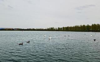 schattig water vogelstand Bij de willen meer van openbaar park van milton keynes stad van Engeland uk foto