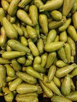 vers biologisch kussa groente, courgette thoran buitenshuis foto