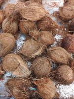 een rang solide droog kokosnoot, rauw kokosnoot in markt foto