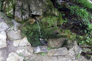 visie van s Doorzichtig stroom van water vloeiende uit een spleet tussen rotsen in een berg Woud. foto