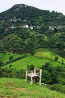 bamboe stoel Aan gras in thee plantage Aan de berg en Woud is heel mooi visie in chiangrai provincie, Thailand. foto