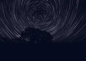 sporen van sterren in nacht lucht foto