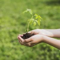 milieu vrijwilligersconcept handen met een plant in de bodem foto