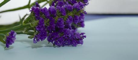golvend blad zee lavendel, statisch, limonium. blauw bloem detailopname. mooi wilde bloemen. foto