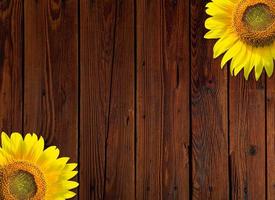 herfst achtergrond met geel zonnebloemen Aan houten bord foto