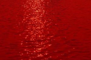 onscherp wazig transparant rood gekleurde Doorzichtig kalmte water oppervlakte structuur met spatten en bubbels. modieus abstract natuur achtergrond. water golven in zonlicht met kopiëren ruimte. rood water schijnen foto