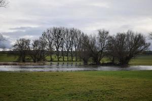 moeras meer en stoutmoedig bomen foto