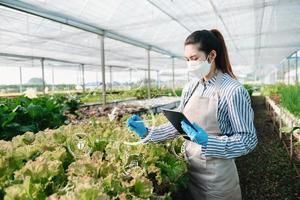 Mens handen tuinieren sla in boerderij met groei werkwijze en chemisch formule Aan groen achtergrond. met vr icoon foto