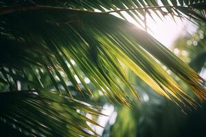 tropisch palm bladeren achtergrond. illustratie ai generatief foto