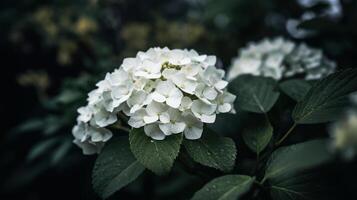 hortensia bloem achtergrond. illustratie ai generatief foto