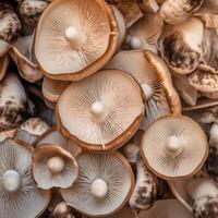 champignons achtergrond. illustratie ai generatief foto