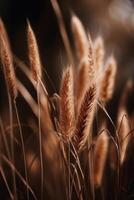 natuurlijk achtergrond met droog gras. illustratie ai generatief foto