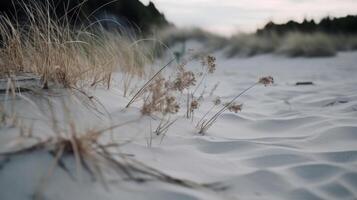 droog gras en zand achtergrond. illustratie ai generatief foto