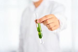 Aziatisch wetenschapper met wetenschap Onderzoek biologie met zeewier of kelp in de laboratorium Aan wit achtergrond foto