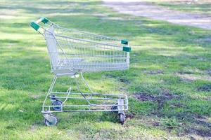 boodschappen doen trolley in de tuin foto