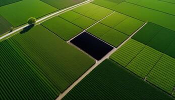 generatief ai, boerderij landschap, agrarisch velden, mooi platteland, land weg. natuur illustratie, fotorealistisch top visie drone, horizontaal spandoek. foto