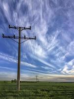 macht lijnen Aan de veld- Bij de veld- gedekt met jong tarwe foto