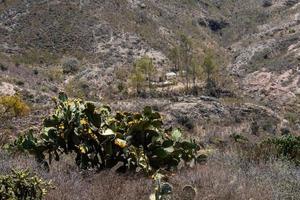 visie van de semi woestijn bergen van hoog omhoog in Mexico. foto