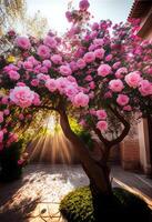 zonneschijn en regen bloeiend roos boom. generatief ai foto