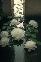 groep van wit bloemen drijvend in een zwembad van water. generatief ai. foto