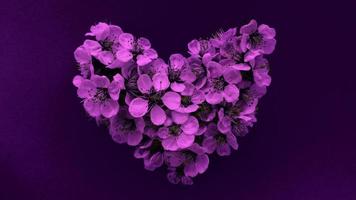 hart van pruimenboom bloemen in moderne paarse kleuren. kan worden gebruikt als banner, briefkaart, fotoafdruk, uitnodigingsontwerp. Stock foto.