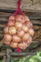 biologisch geel ui in de zak Bij een markt foto