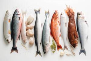 een presentatie van divers types van vis Aan wit achtergrond generatief ai foto