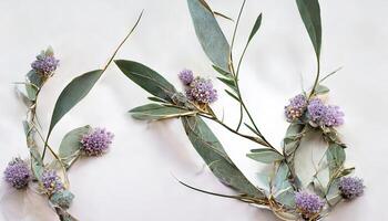 lavendel bloemen en eucalyptus takken geïsoleerd Aan wit, bloemen lauwerkrans. generatief ai foto