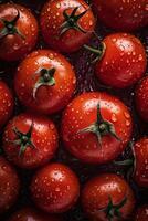 vers tomaten in druppels van dauw net zo een achtergrond. generatief ai. foto
