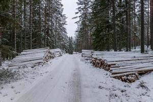 stapels hout langs een winterweg in Zweden