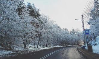 winter landschap met vers sneeuw en bomen foto