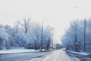 winter landschap met vers sneeuw en bomen foto