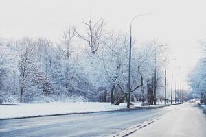 winter landschap met vers sneeuw en bomen foto