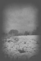 verdrietig, leeg, alleen, ochtend, met de weg en sneeuw Bij de begin van winter foto