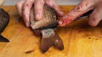 schoonmaken en snijden van verse vis met een mes close-up foto