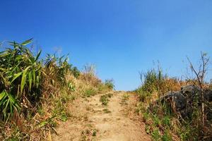 natuurlijk voetpad en droog grasland Aan de berg Bij doi pha geurtje heuvel in Thailand foto