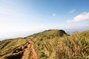 natuurlijk voetpad en droog grasland Aan de berg met blauw lucht Bij phu Chee fah heuvel noordelijk van Thailand foto