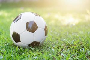 Amerikaans voetbal Aan groen gras met zon licht foto